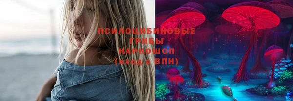 молекула духа Ельня