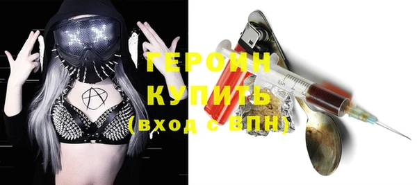 молекула духа Ельня