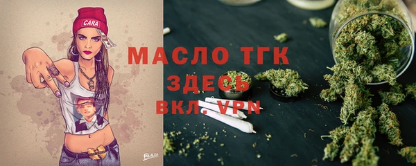 молекула духа Ельня