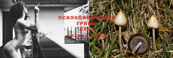 альфа пвп Дмитриев