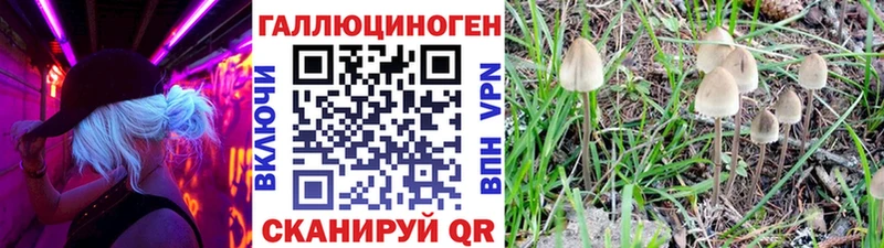 Псилоцибиновые грибы мухоморы Троицк