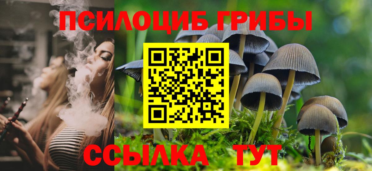 Троицк  Галлюциногенные грибы GOLDEN TEACHER  Вход с VPN  Псилоцибиновые грибы Magic Shrooms 