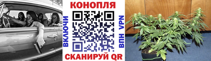 ОМГ ОМГ tor  Троицк  Каннабис план 